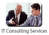 IT Consulting Services